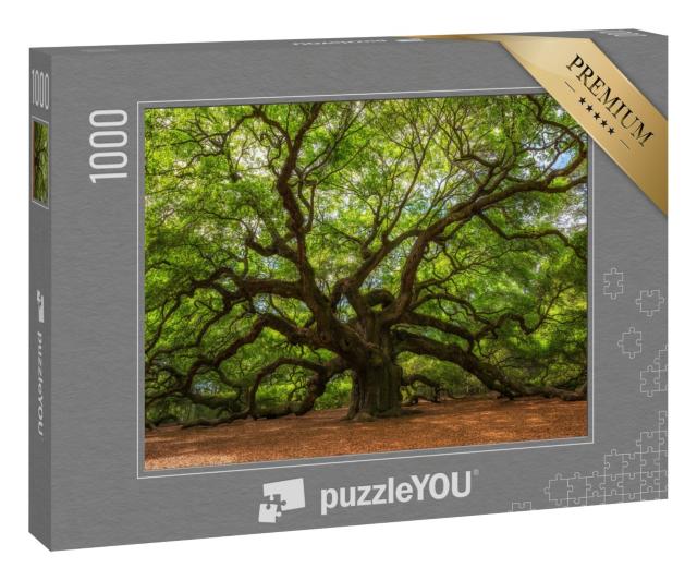 Puzzle 1000 Teile „Winkeleichenbaum in Johns Island, South Carolina“