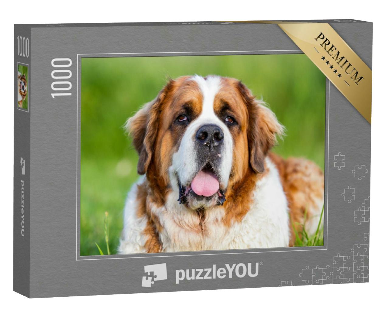 Puzzle 1000 Teile „Bernhardiner Hund, Bernhardiner“