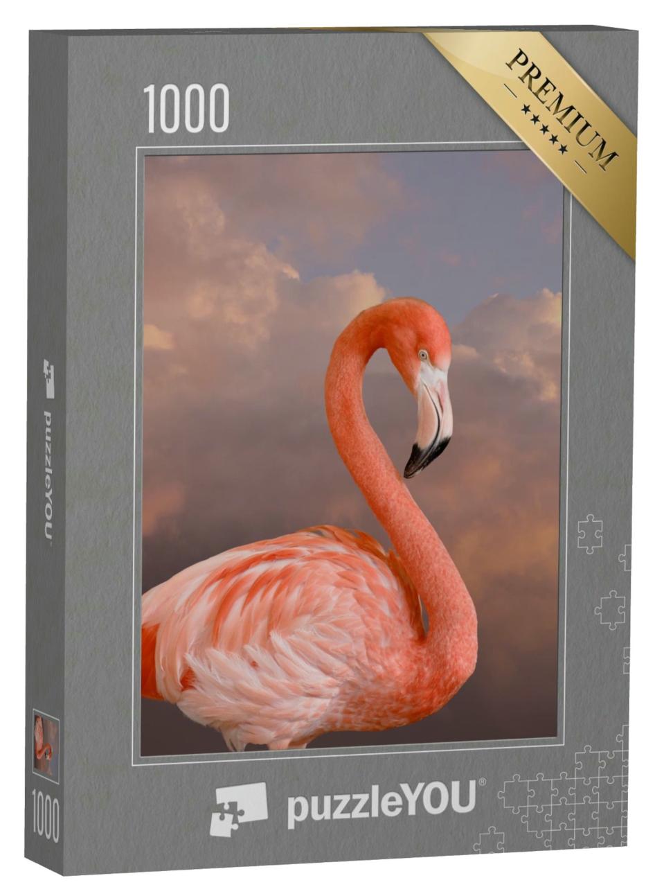 Puzzle 1000 Teile „Nahaufnahme: Amerikanischer Flamingo“