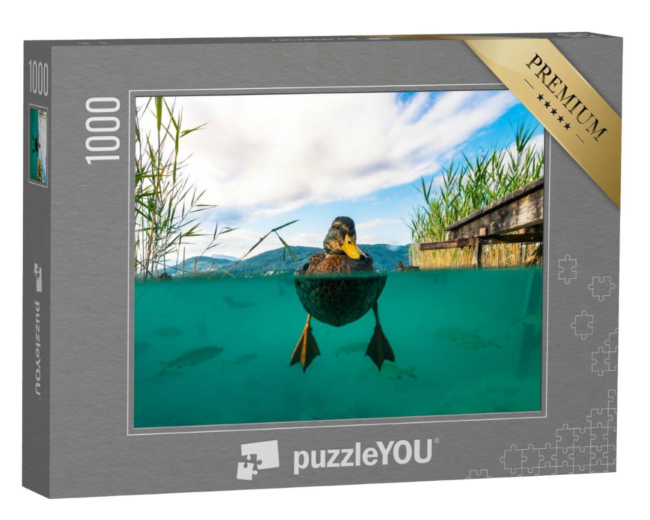 Puzzle 1000 Teile „Unterwasserbild einer Ente und mit einigen Fischen in einem See, Österreich“