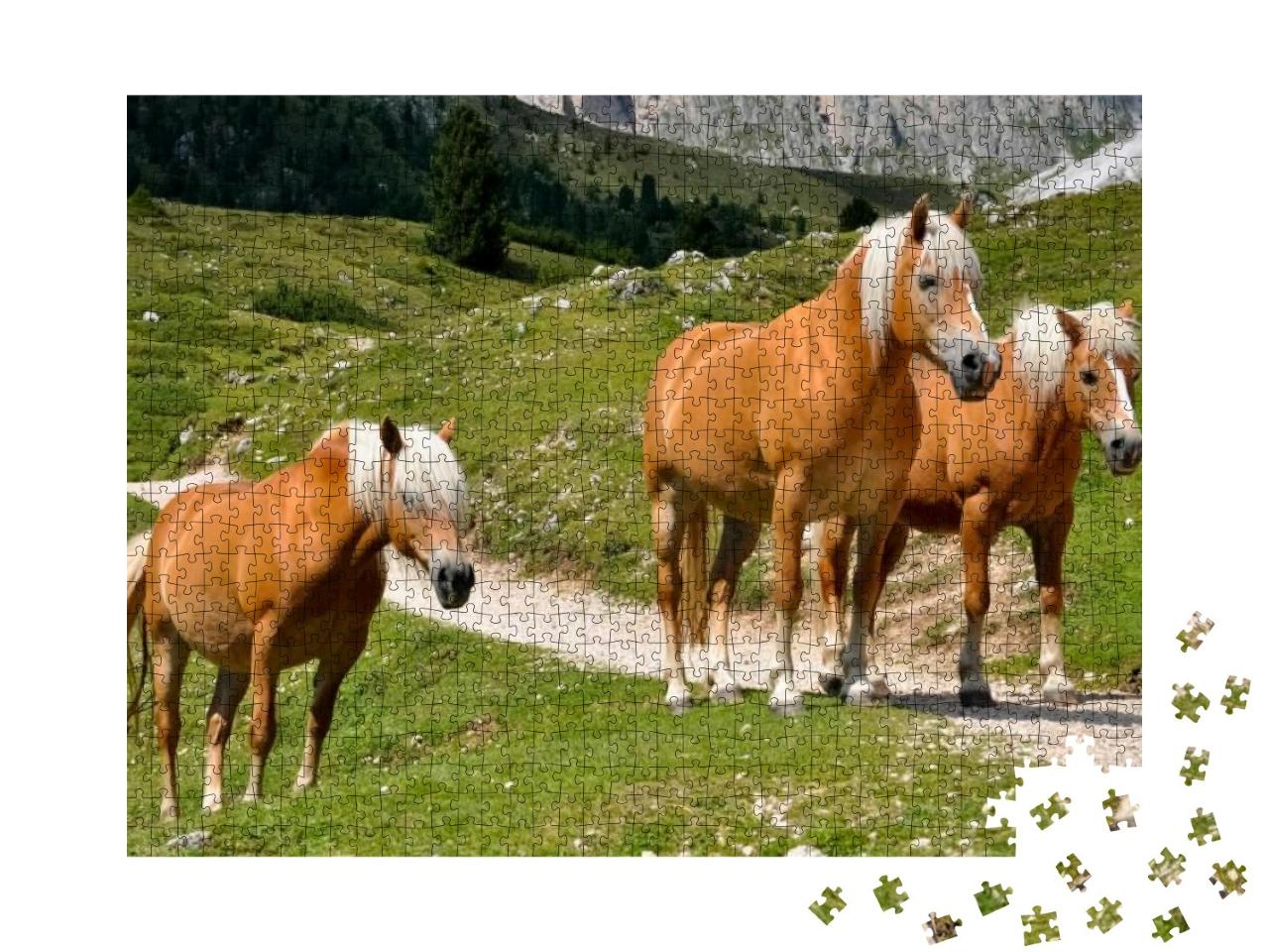 Puzzle 1000 Teile „Drei Haflingerpferde auf einer Alm in Südtirol, Italien“