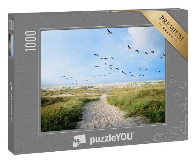 Puzzle 1000 Teile „Ein großer Schwarm Löffelenten über den Dünen von Langeoog, Deutschland“