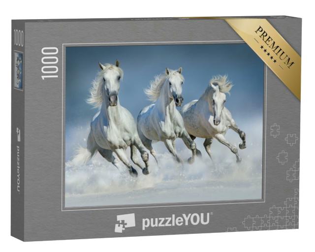 Puzzle 1000 Teile „Gruppe von schönen arabischen Pferden läuft Galopp durch Schnee“