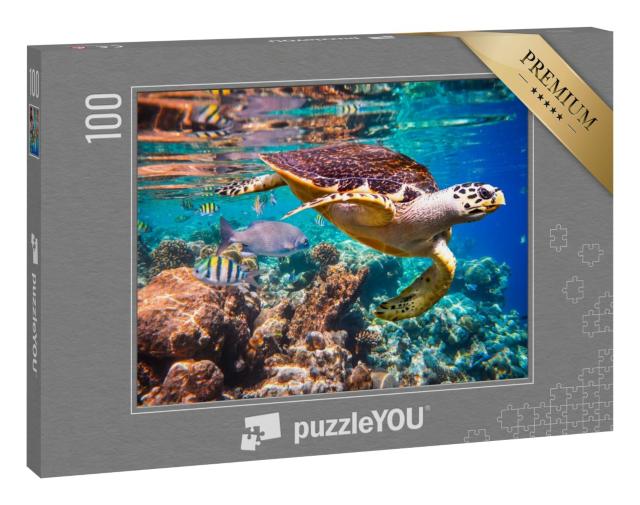 Puzzle 100 Teile „Echte Karettschildkröte im Korallenriff“
