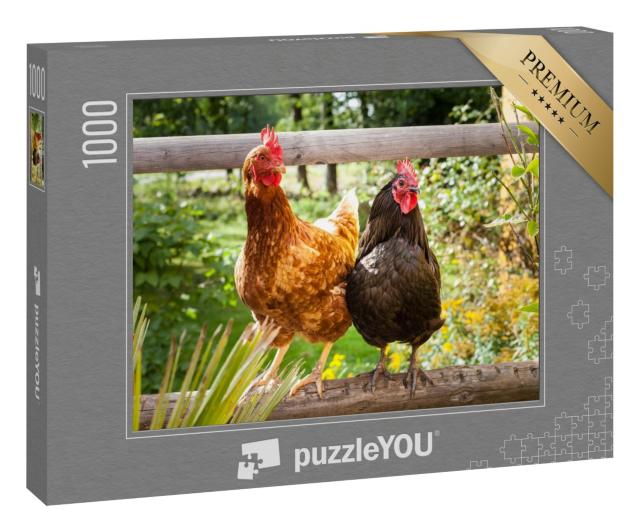Puzzle 1000 Teile „Glückliche Hühner auf einem Holzzaun im Freien“