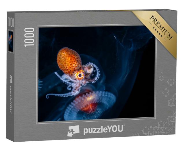 Puzzle 1000 Teile „Larven eines weiblichen Nautilus-Oktopus, Nahaufnahme“