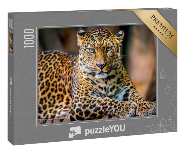 Puzzle 1000 Teile „Porträt eines Leoparden“