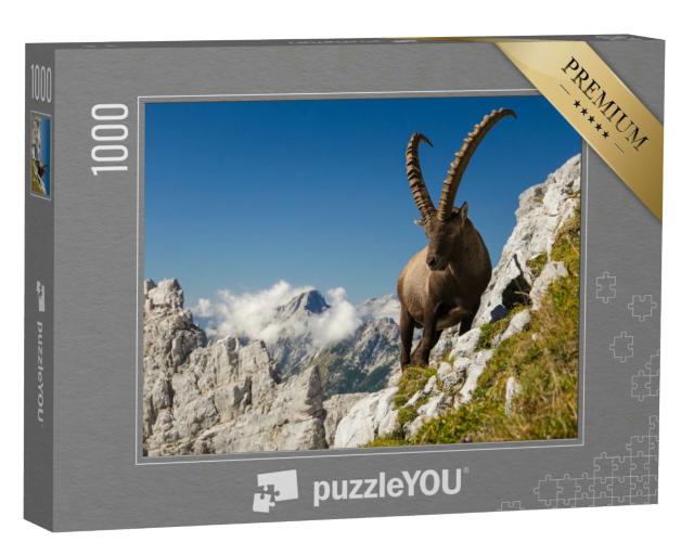Puzzle 1000 Teile „Der König der Berge, Steinbock, Capra Ibex, in Sloweniens Alpen“