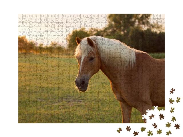 Puzzle 1000 Teile „Schönes Palomino Haflinger Pferd auf einer Weide“