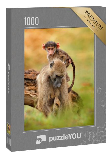 Puzzle 1000 Teile „Chacma-Pavianweibchen mit Jungtier, Okavango-Delta, Botswana“