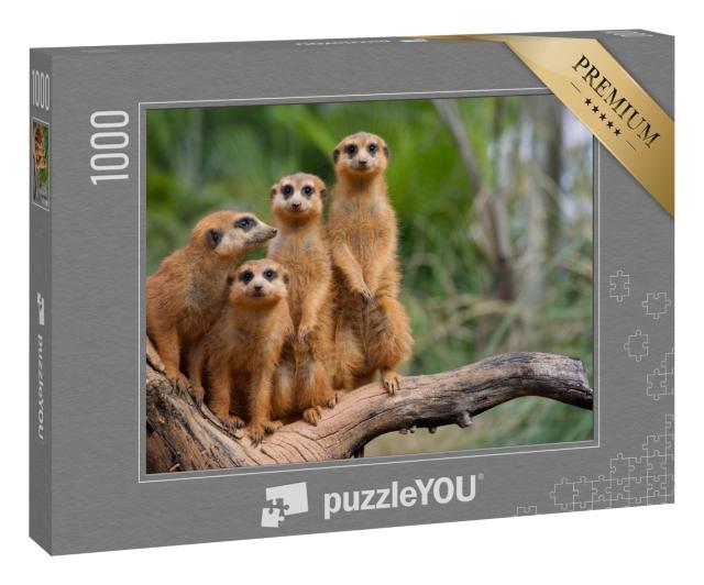 Puzzle 1000 Teile „Familie der Erdmännchen“