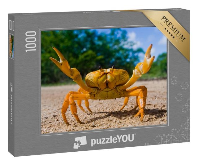 Puzzle 1000 Teile „Gelbe Landkrabbe auf Kuba“