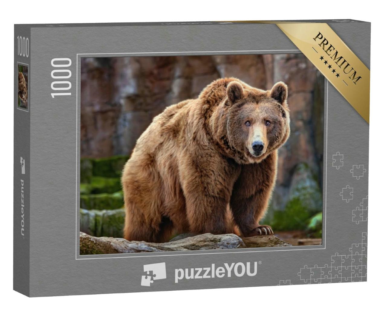 Puzzle 1000 Teile „Bild eines großen Braunbären“