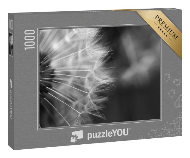 Puzzle 1000 Teile „Makrofotografie einer Pusteblume, schwarz-weiß“