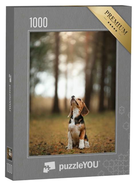 Puzzle 1000 Teile „Hund läuft durch die Natur, Beagle, Haustier“