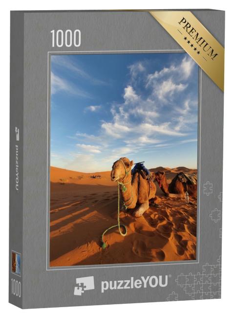 Puzzle 1000 Teile „Kamel unter blauem Himmel in der Sahara-Wüste Marokkos“