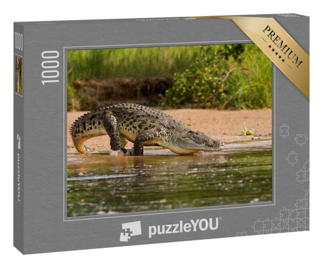 Puzzle 1000 Teile „Ein Nilkrokodil, das größte Raubtier des Nils“