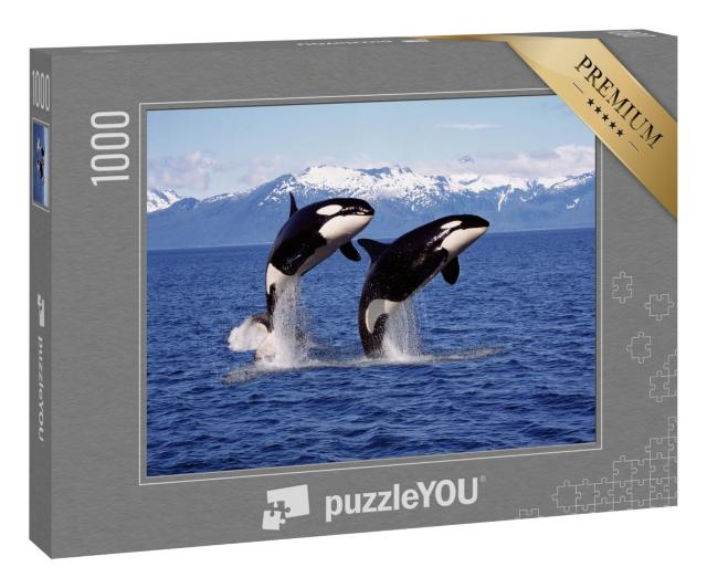 Puzzle 1000 Teile „Zwei Killerwale springen aus dem Wasser vor einer Berglandschaft“