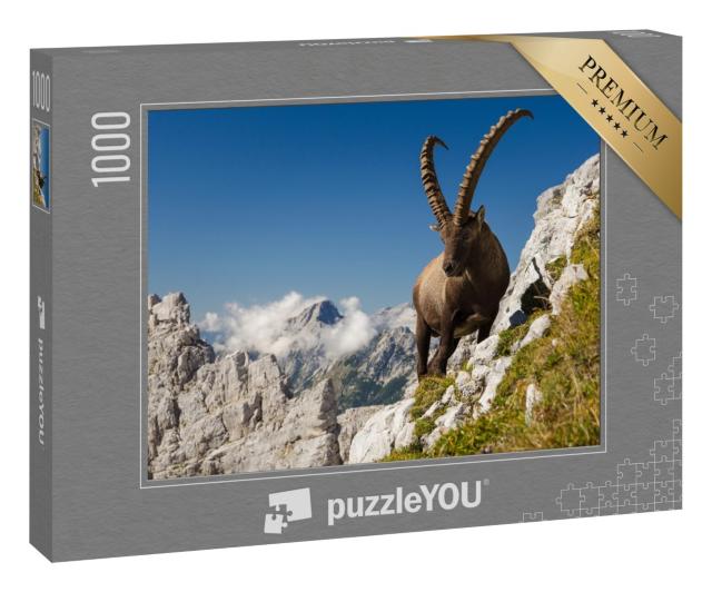 Puzzle 1000 Teile „Der König der Berge, Steinbock, Capra Ibex, in Sloweniens Alpen“