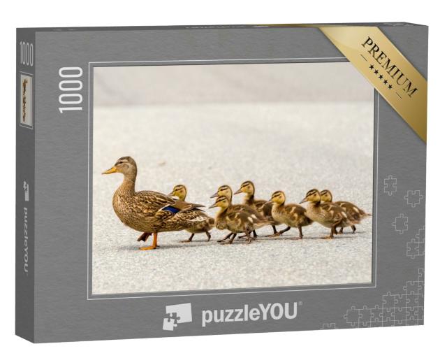 Puzzle 1000 Teile „Eine Entenmutter und ihre Entenküken überqueren in einer Reihe eine Straße“