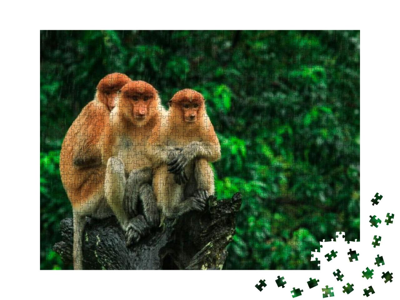 Puzzle 1000 Teile „Proboscis-Affen vor Bäumen, Borneo, Malaysia“