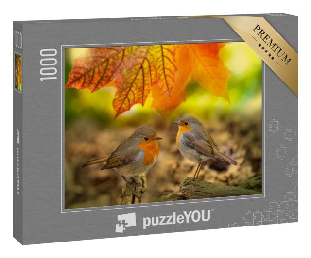 Puzzle 1000 Teile „Zwei Rotkehlchen im Herbstwald“