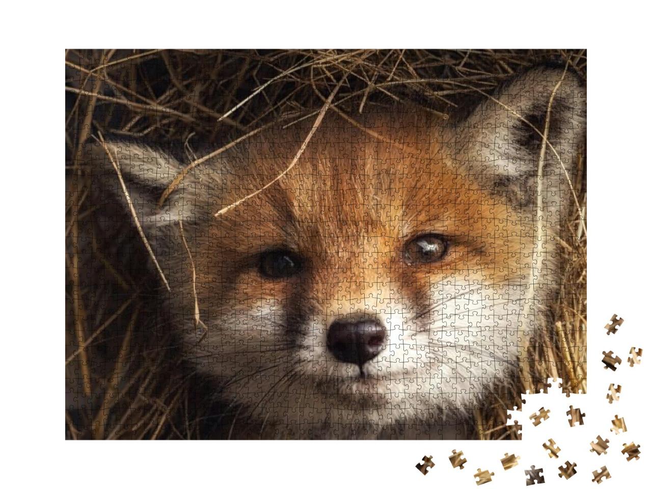 Puzzle 1000 Teile „Nahaufnahme: Fuchswelpe im Heu“