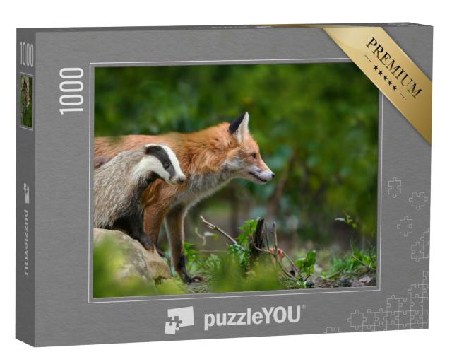 Puzzle 1000 Teile „Rotfuchs, Vulpes vulpes, und Dachs, Waldtiere“
