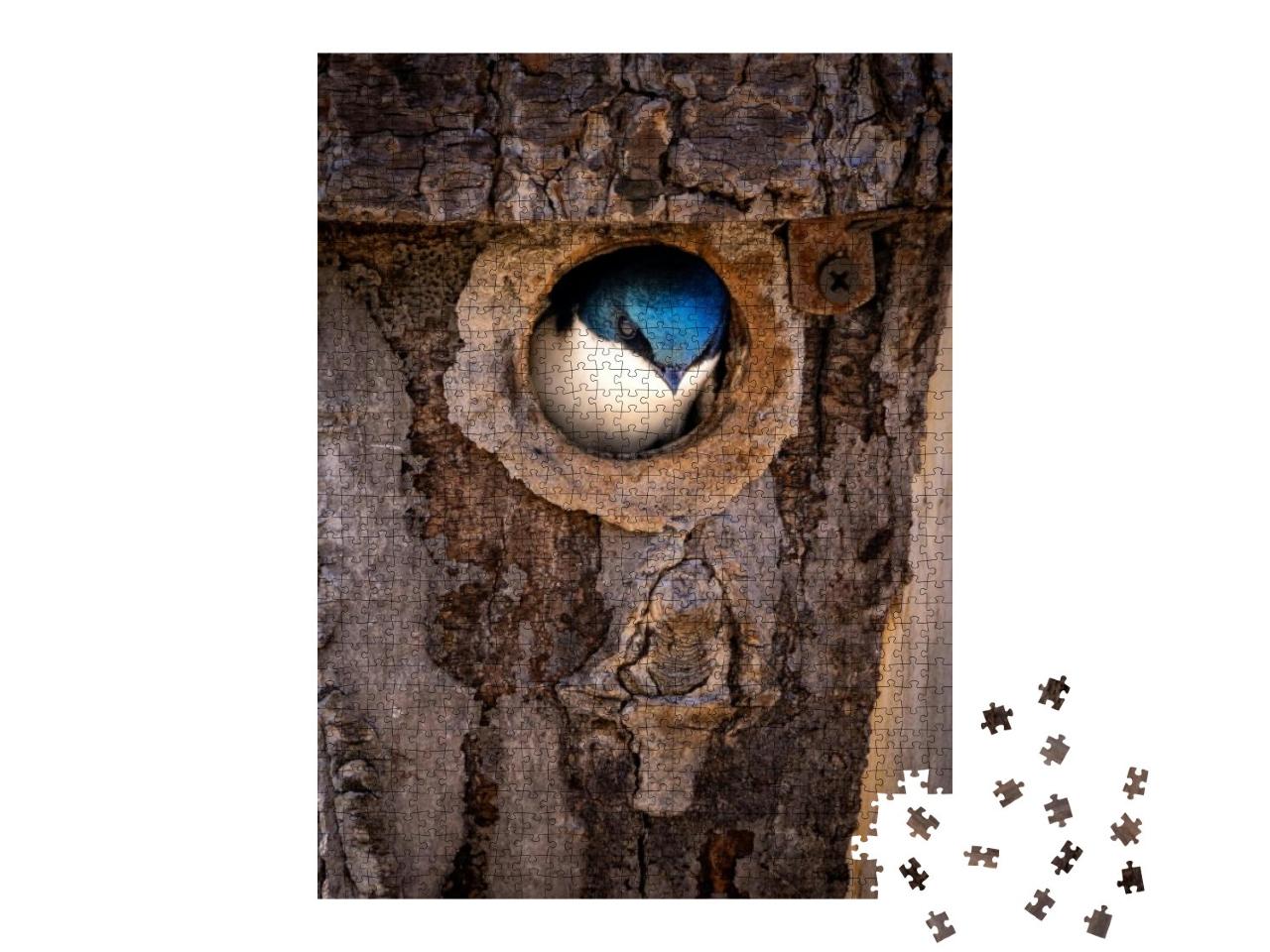 Puzzle 1000 Teile „Brutzeit: Eine Rauchschwalbe wagt sich aus ihrem Nest im Baumstamm“