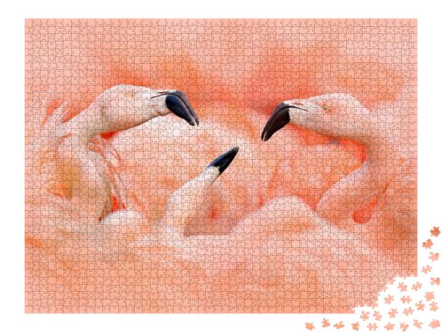 Puzzle 2000 Teile „Rosa Flamingos“