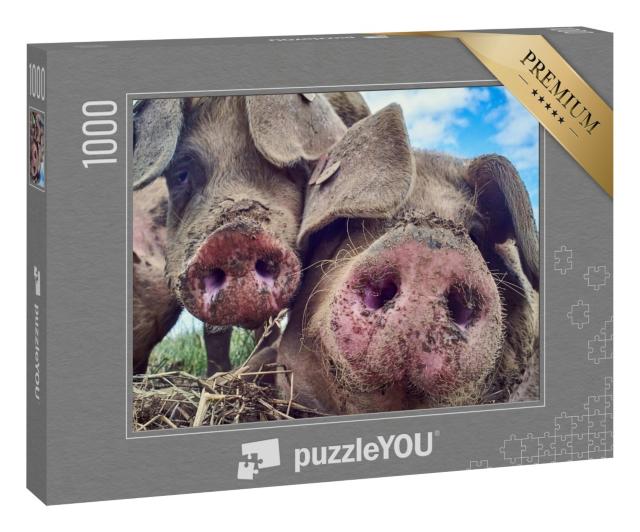 Puzzle 1000 Teile „Glückliche Schweine“