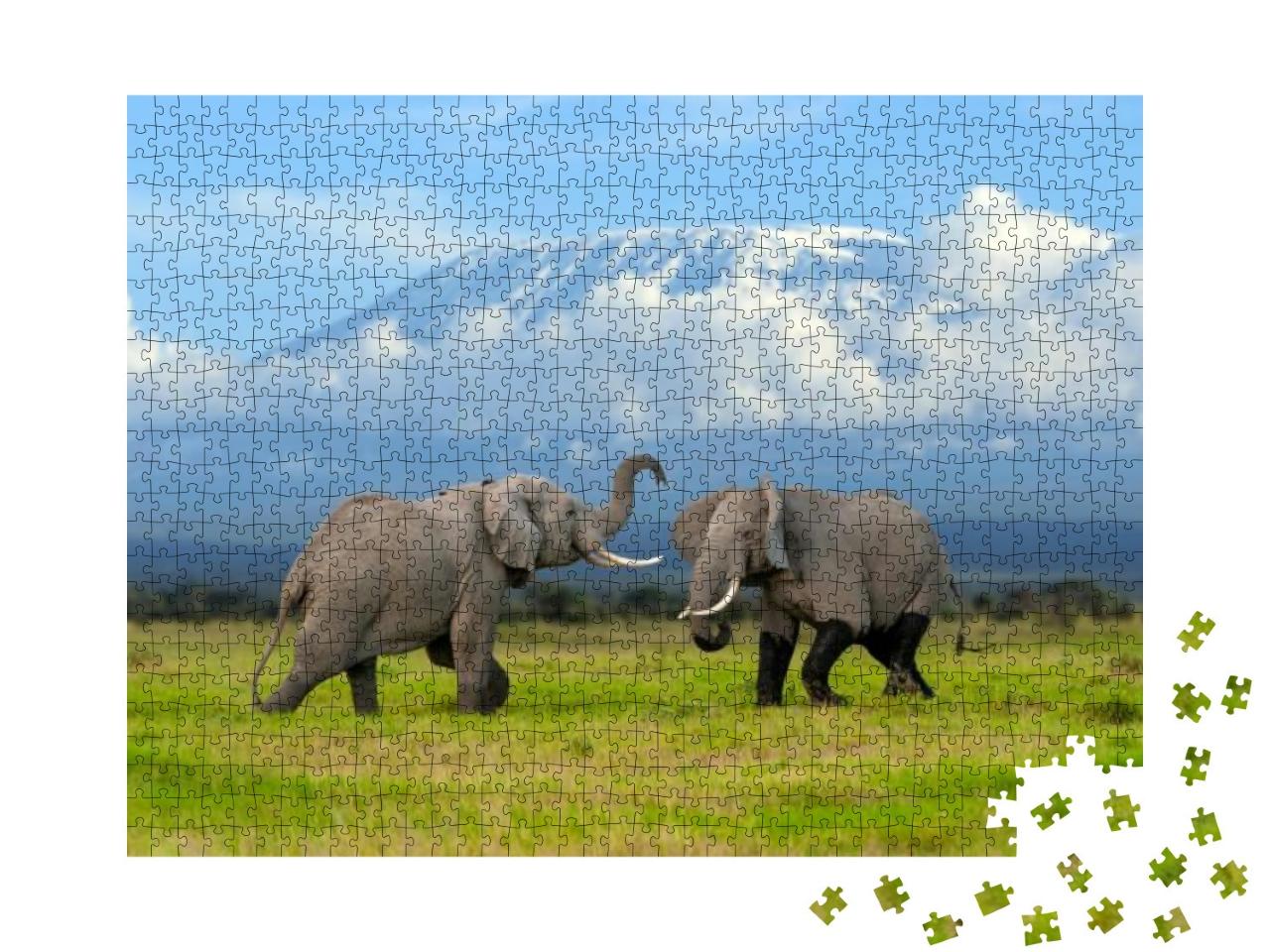 Puzzle 1000 Teile „Elefant vor dem schneebedeckten Kilimandscharo“