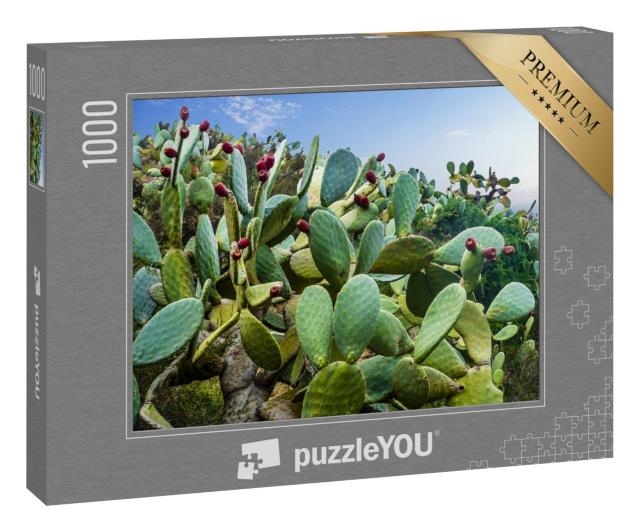 Puzzle 1000 Teile „Kaktusfeld bei Mexiko-Stadt“