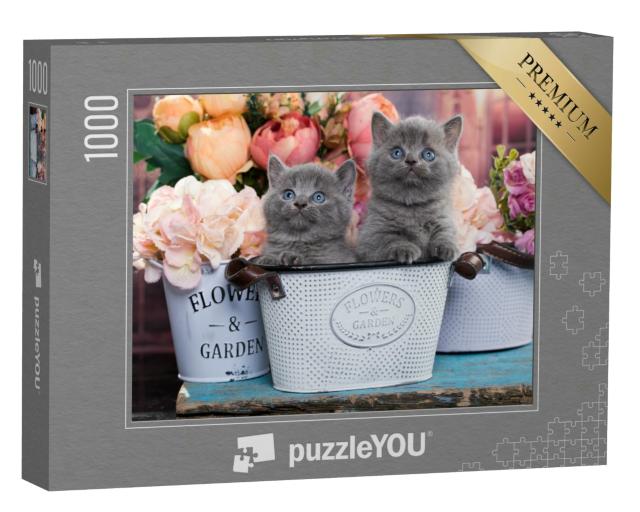 Puzzle 1000 Teile „Kätzchen im Blumentopf“