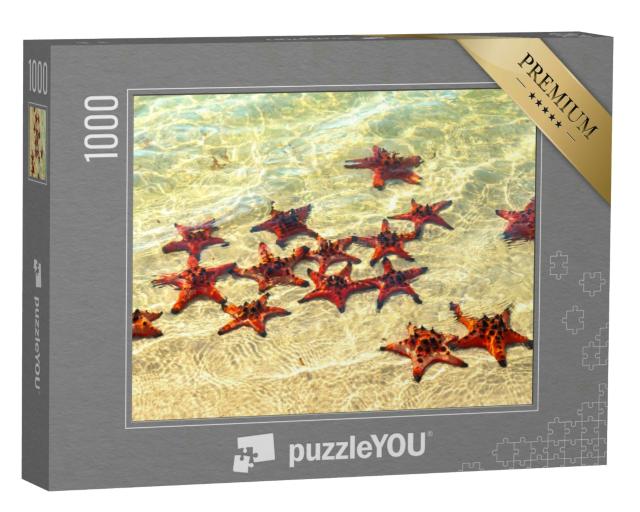 Puzzle 1000 Teile „Seesterne beim Sonnenbad“