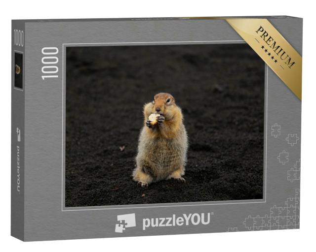Puzzle 1000 Teile „Ein charmantes Erdhörnchen steht auf vulkanischem Sand“