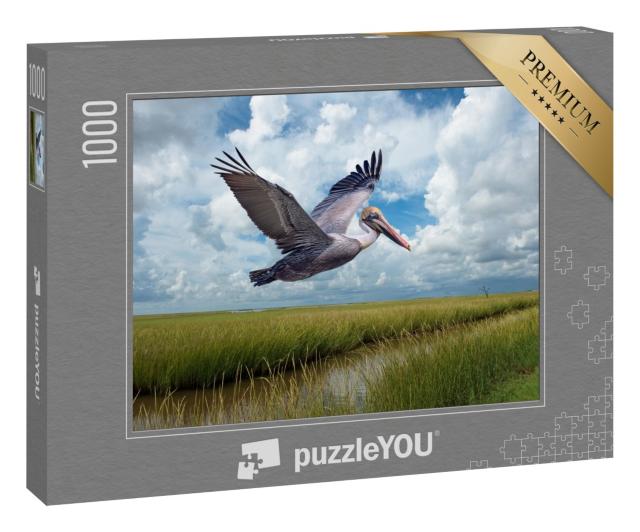 Puzzle 1000 Teile „Brauner Pelikan im Flug über Sumpfgebiete bei Grand Isle Louisiana“