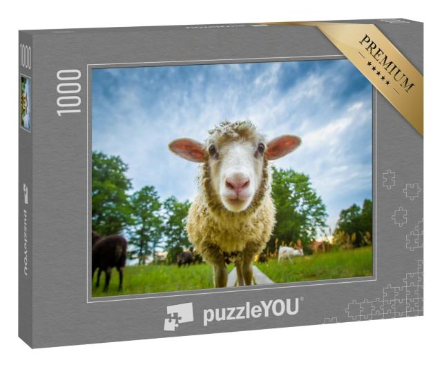 Puzzle 1000 Teile „Auge in Auge mit einem Schaf“