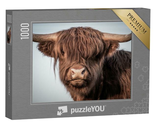 Puzzle 1000 Teile „Portrait eines schottischen Hochlandrindes“