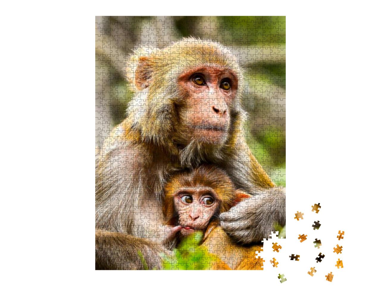 Puzzle 1000 Teile „Affenmutter mit Baby, Portrait“