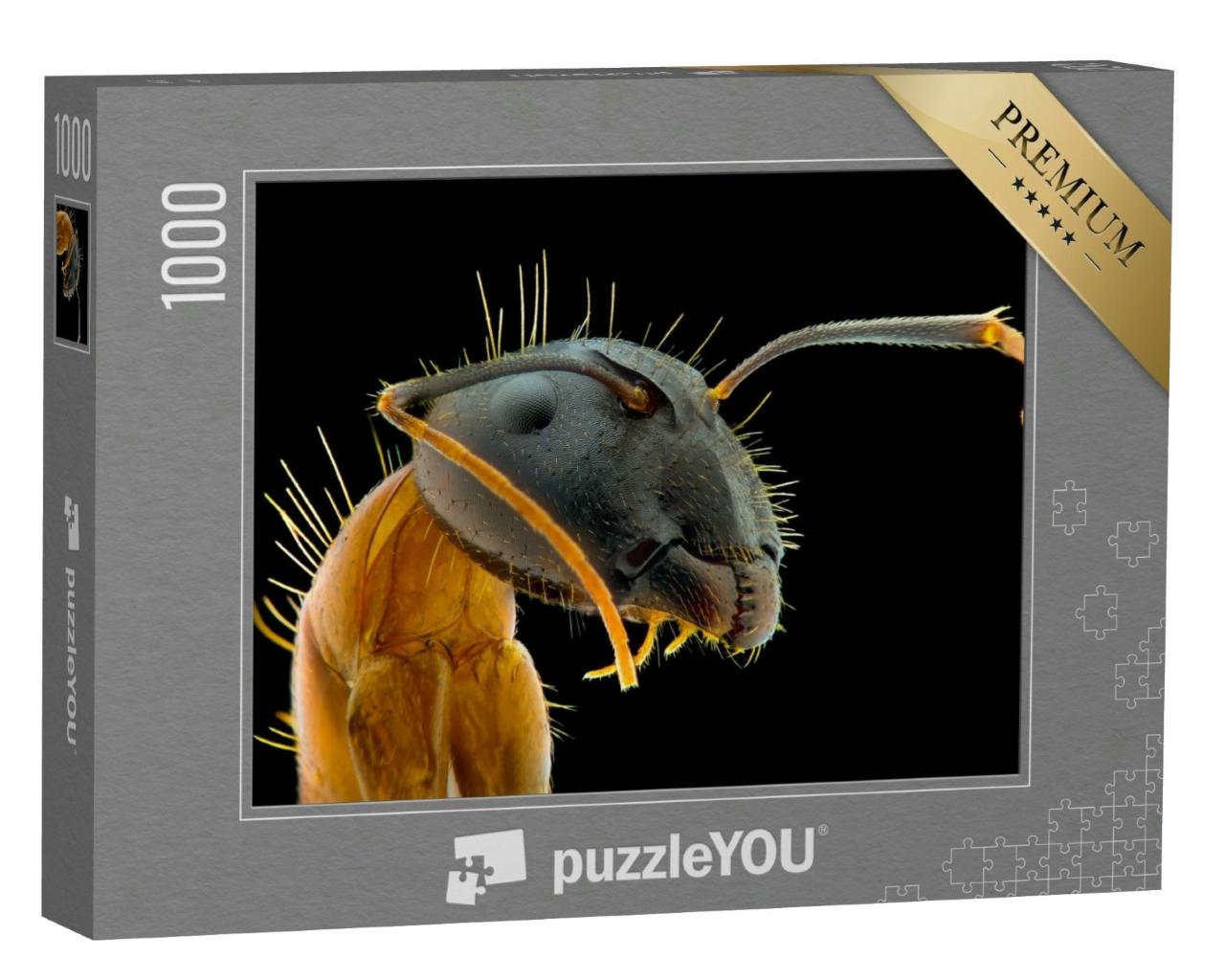 Puzzle 1000 Teile „Ameisengesicht: Foto mit extremer Makrotechnik, Nahaufnahme“