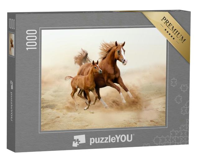Puzzle 1000 Teile „Reinrassiges weißes arabisches Pferd“