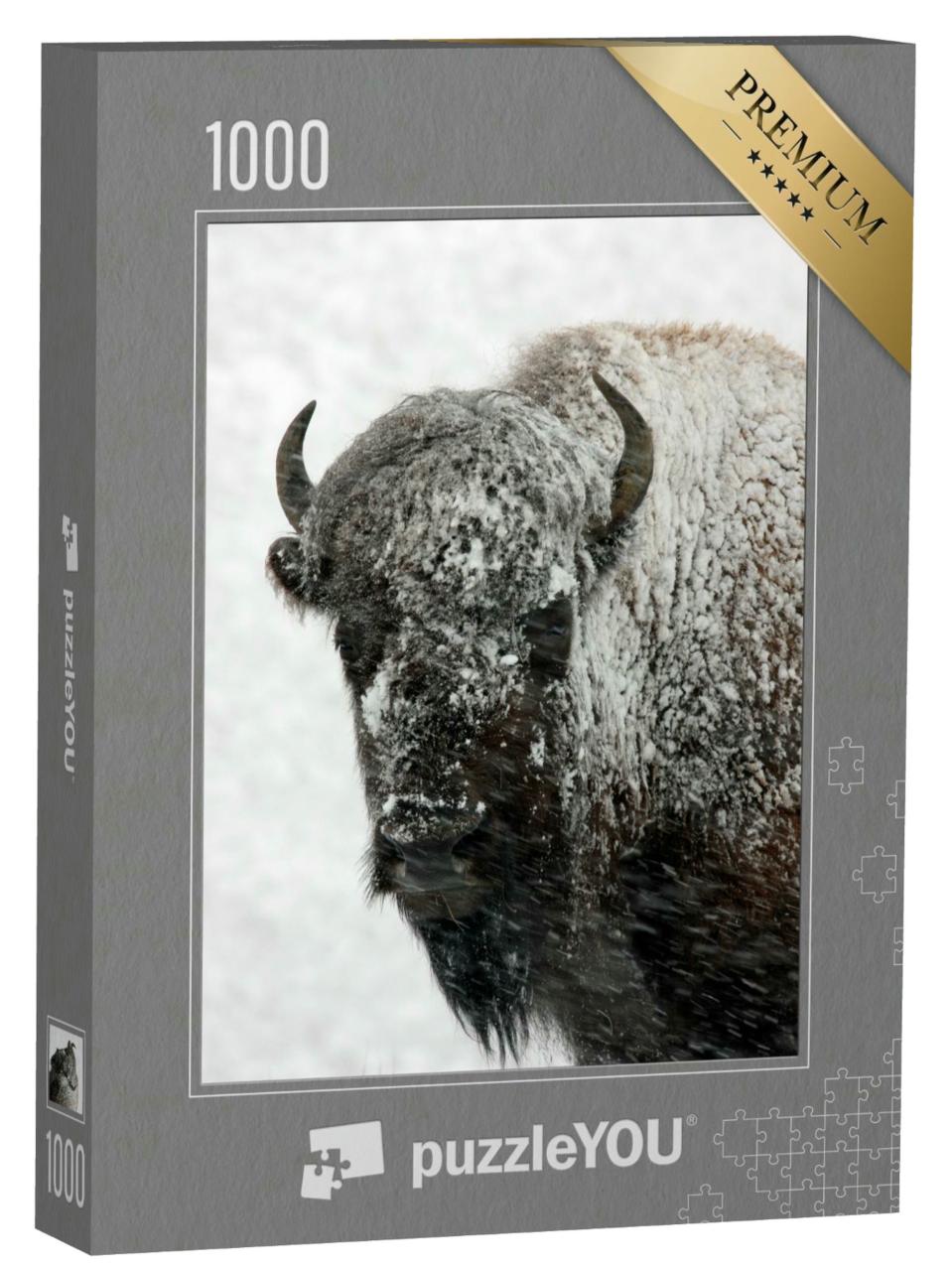 Puzzle 1000 Teile „Bison bei Schnee, Yellowstone-Nationalpark“