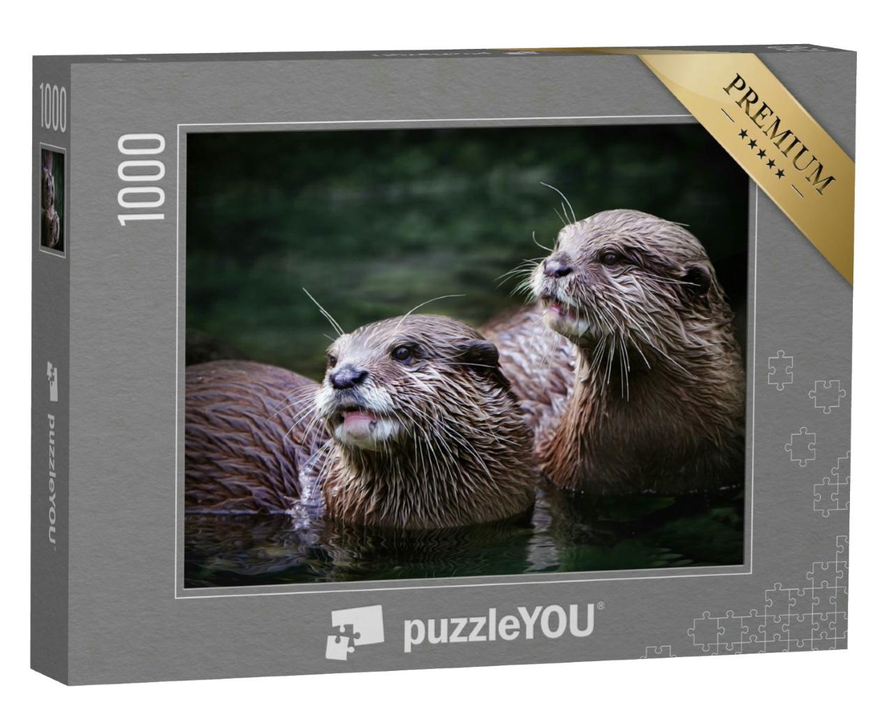 Puzzle 1000 Teile „Niedliches Otterpaar im Wasser“