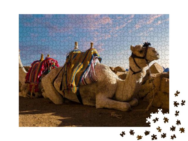 Puzzle 1000 Teile „Dromedar-Kamel vor dem Berg Sinai, Ägypten“
