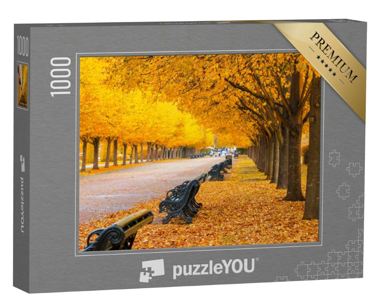 Puzzle 1000 Teile „Goldener Herbst: Von Bäumen gesäumten Allee im Regent's Park, London“