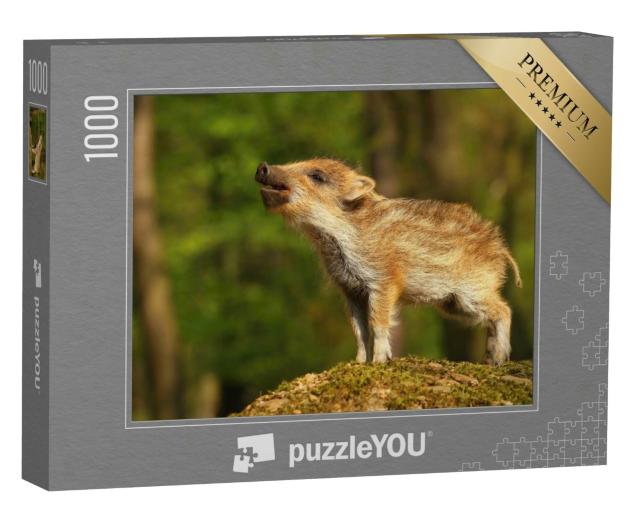 Puzzle 1000 Teile „Süßes gestreiftes Wildschweinbaby im Wald, Frischling“