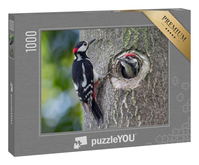 Puzzle 1000 Teile „Buntspecht-Nest: Vater und Sohn“