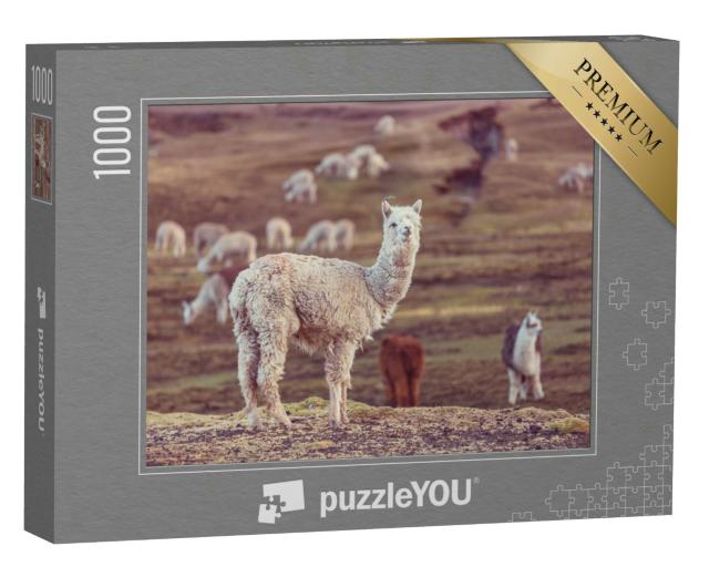 Puzzle 1000 Teile „Peruanisches Alpaka, Anden“