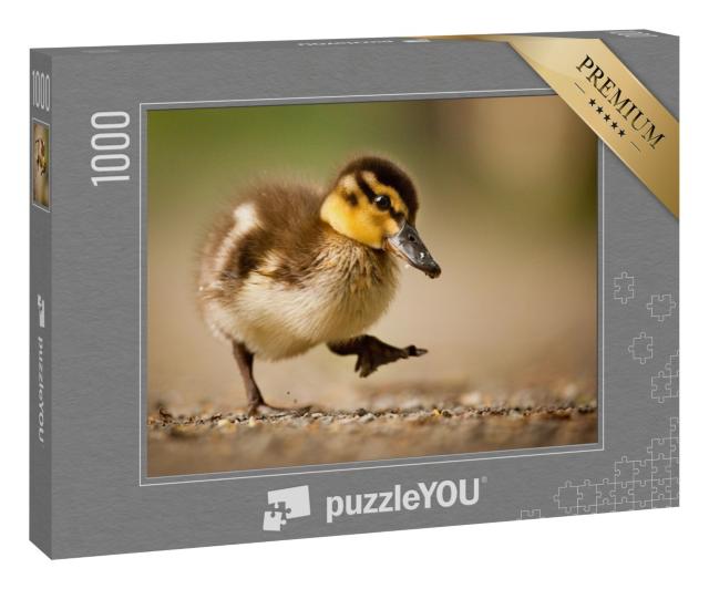 Puzzle 1000 Teile „Ente“